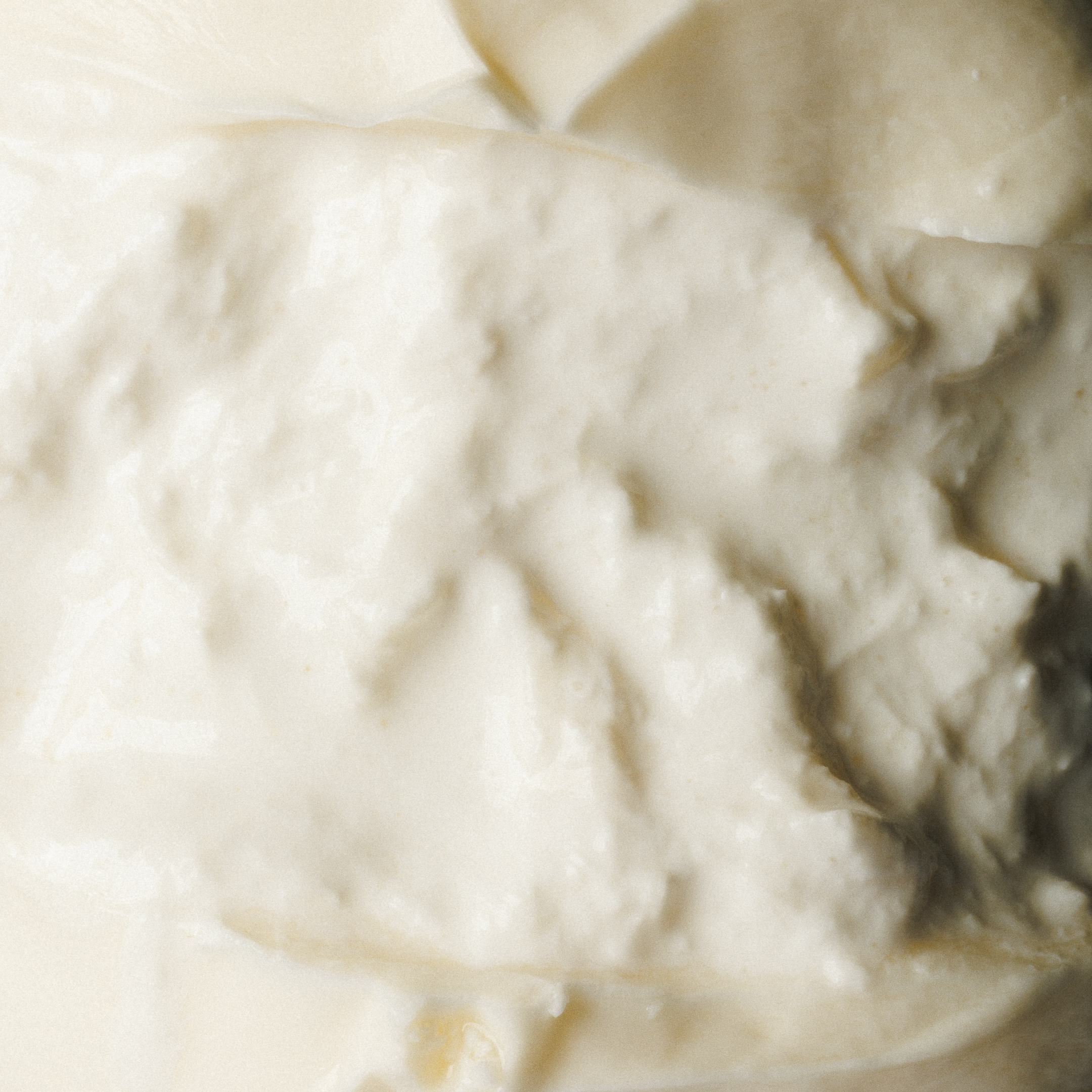 Burrata Artigianale 1